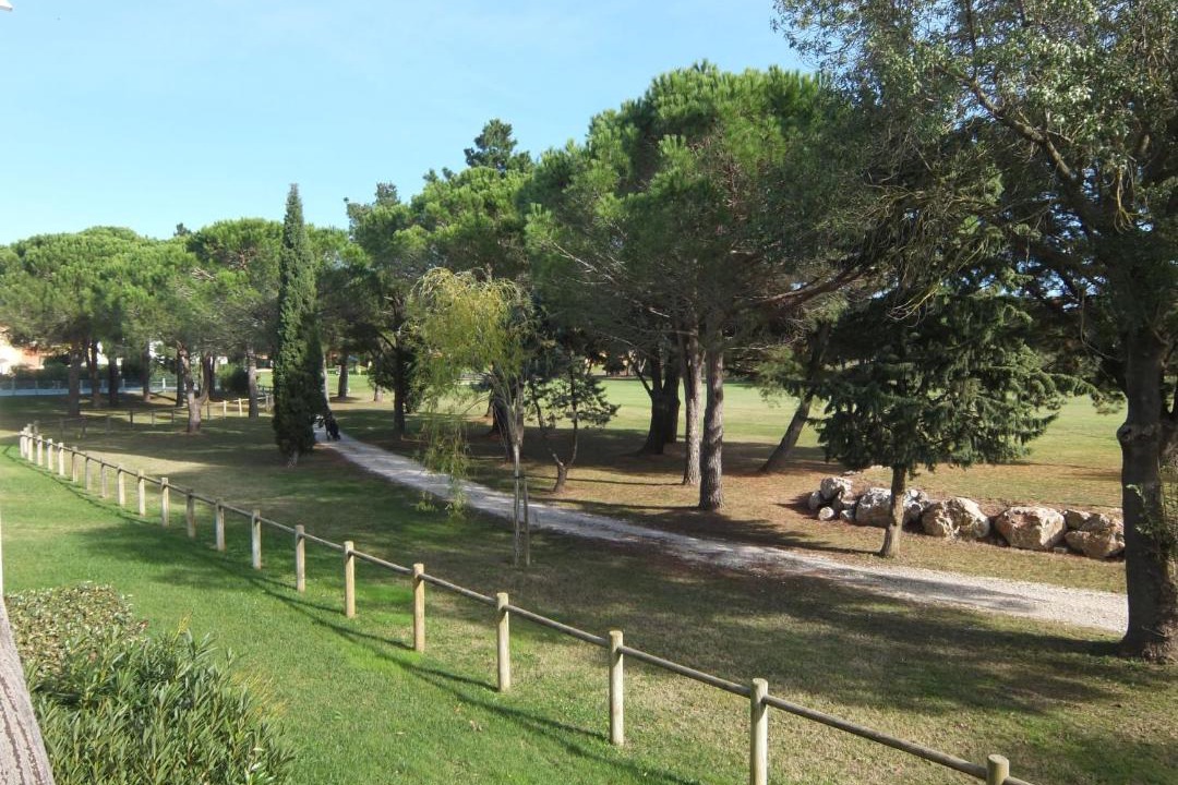 Photo of Outdoor in Saint-Cyprien Plage
