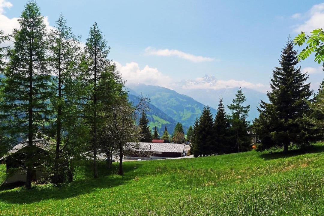 Photo of Others in Alpe des Chaux