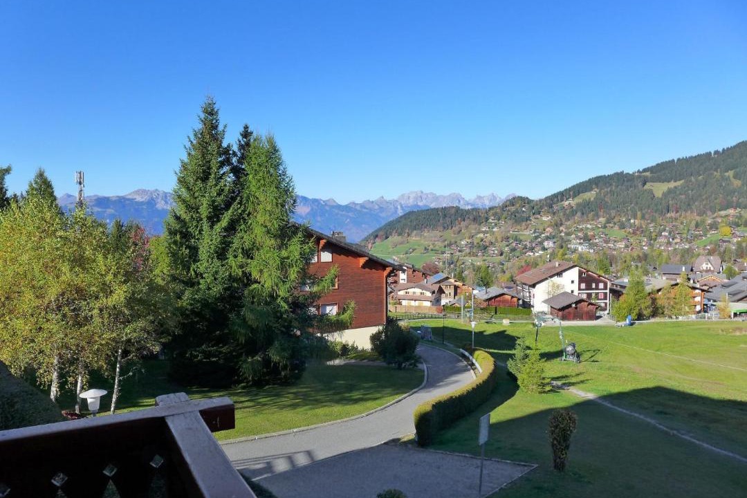 Photo of Others in Villars-sur-Ollon