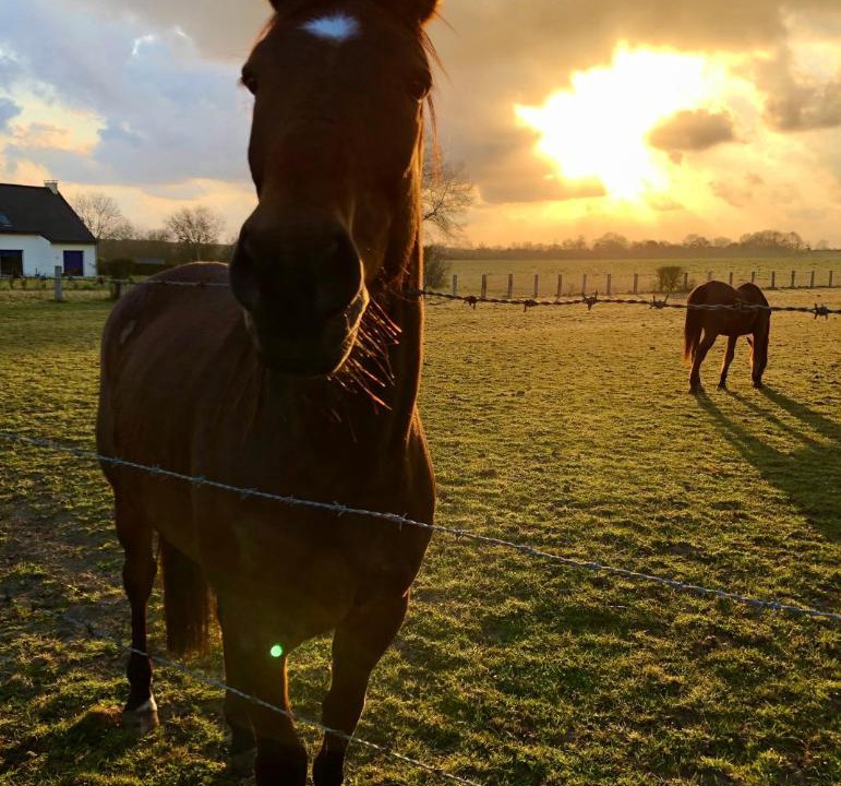 Photo of Others in Houesville