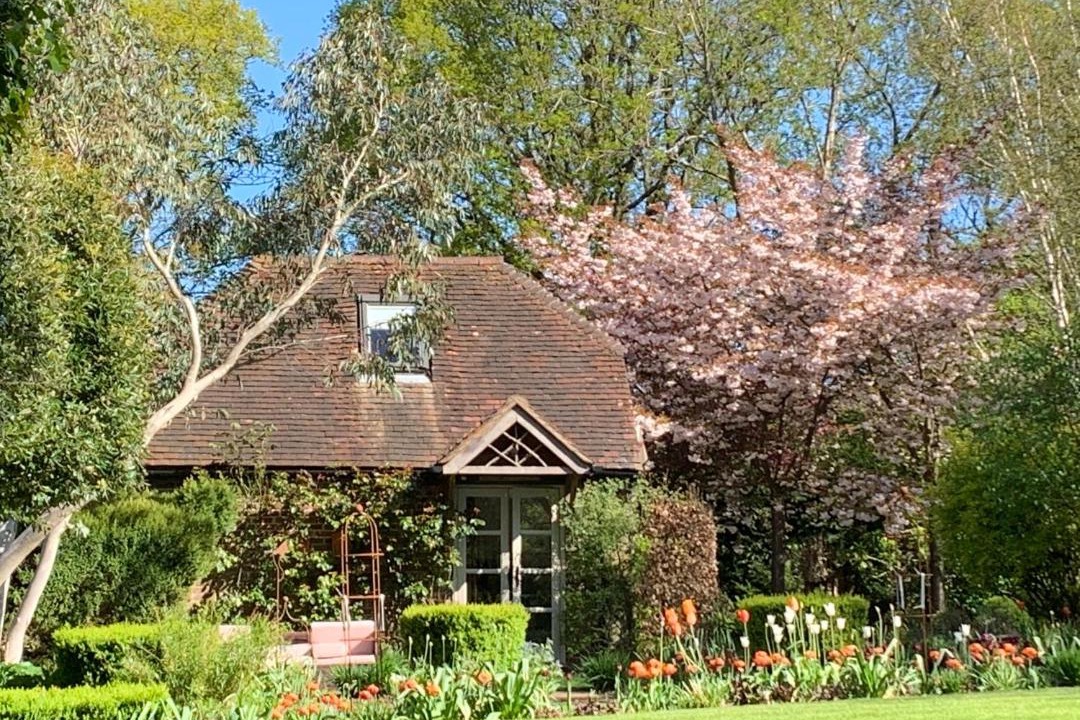 Photo of Others in Petersfield