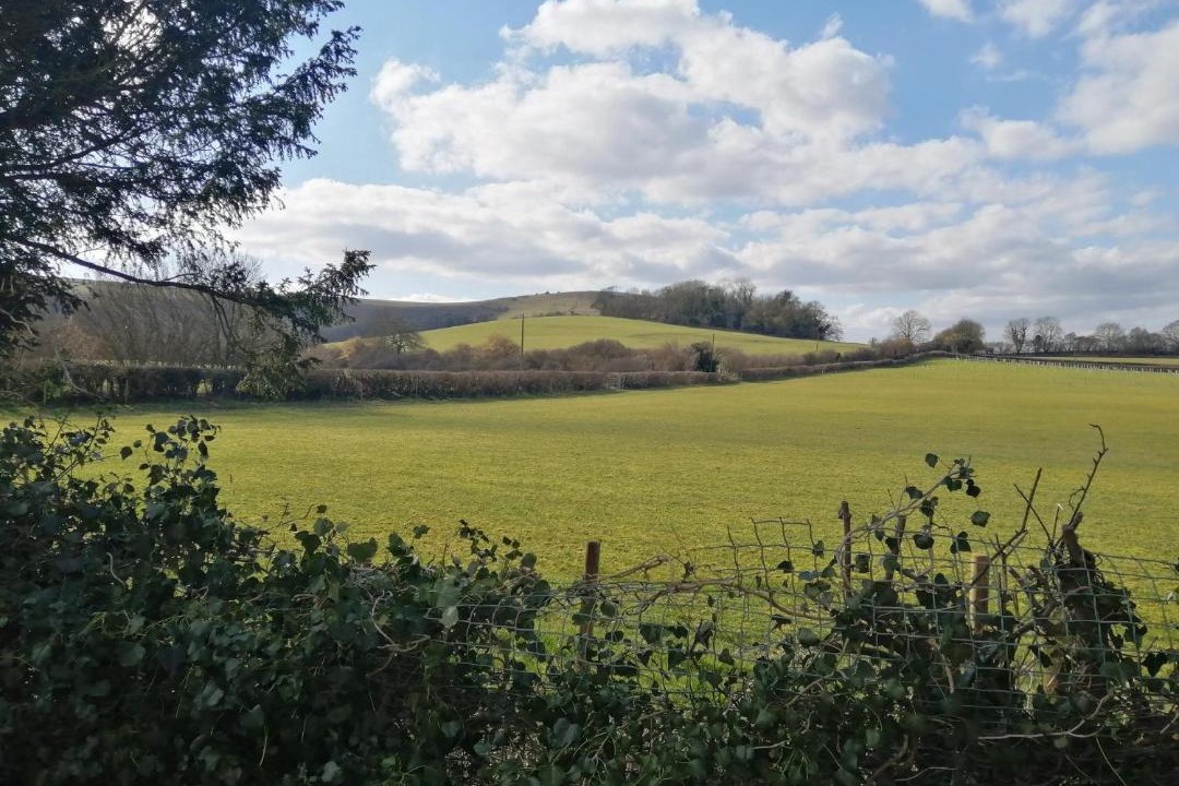 Photo of Others in Clayton