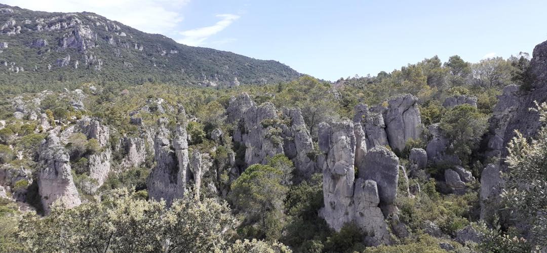 Photo of Others in Clermont-l'Herault