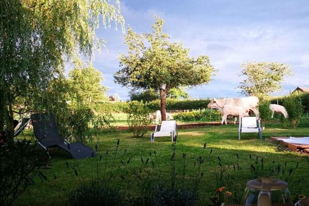 Photo of Others in Luzy