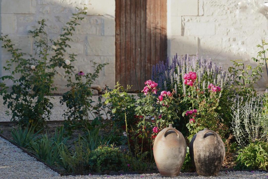 Photo of Others in Anche