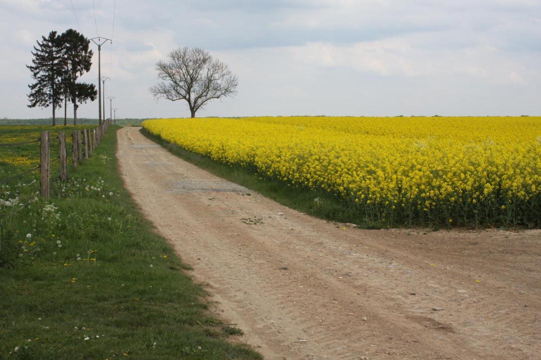 Photo of Outdoor in Meru