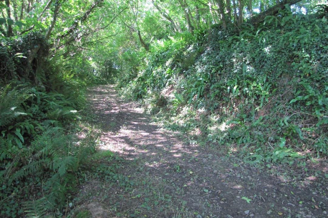 Photo of Outdoor in Crasville