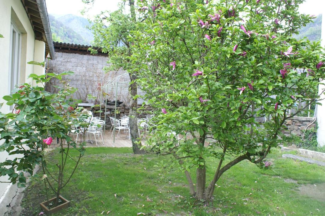 Photo of Others in Bagneres-de-Luchon