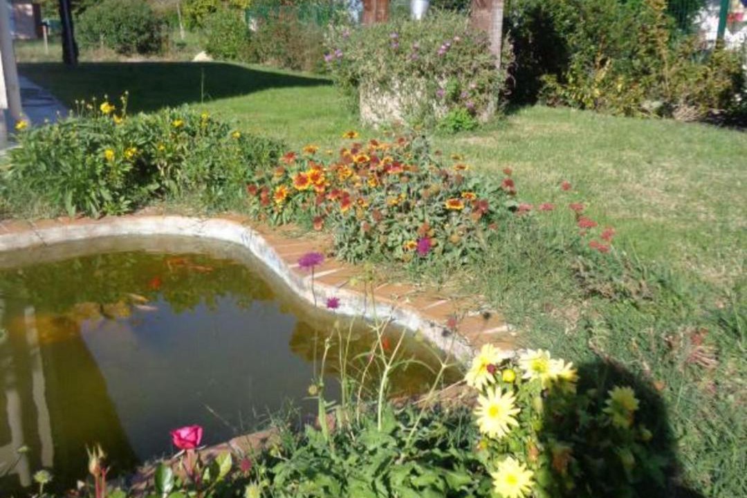 Photo of Outdoor in Meilhan