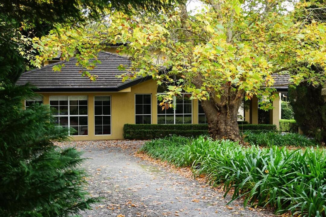 Photo of Others in Berry