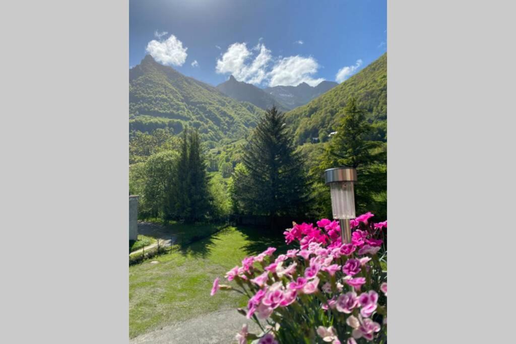 Photo of Others in Cauterets