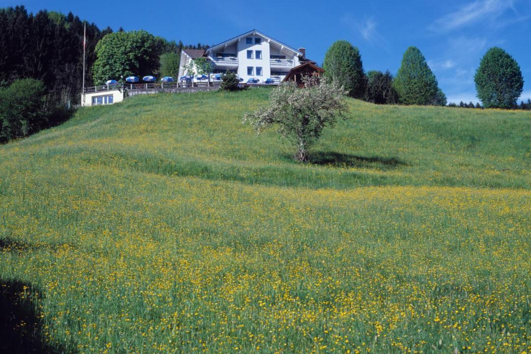 Photo of Others in Appenzell