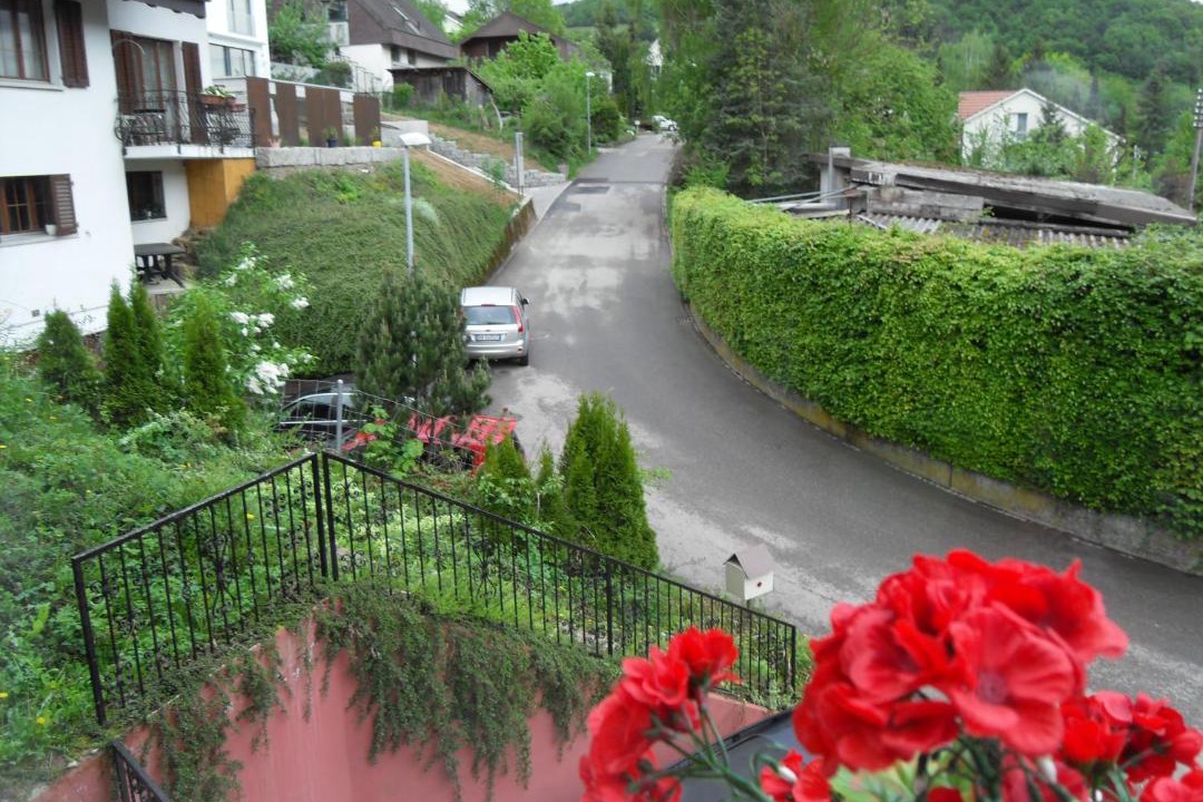 Photo of Others in Hofstetten-Flueh