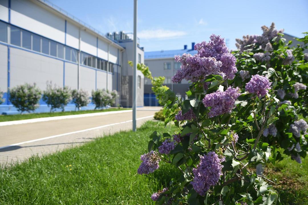 Photo of Others in Kotelnikovo