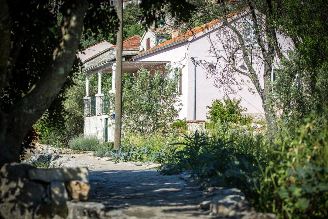 Photo of Others in Mljet
