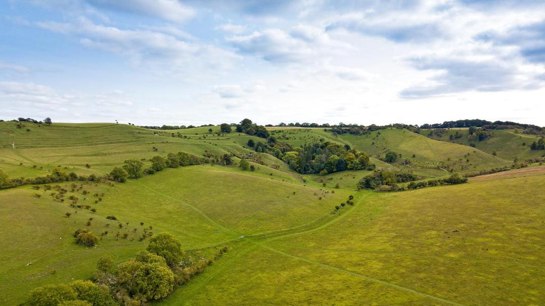 Photo of Others in Pegsdon