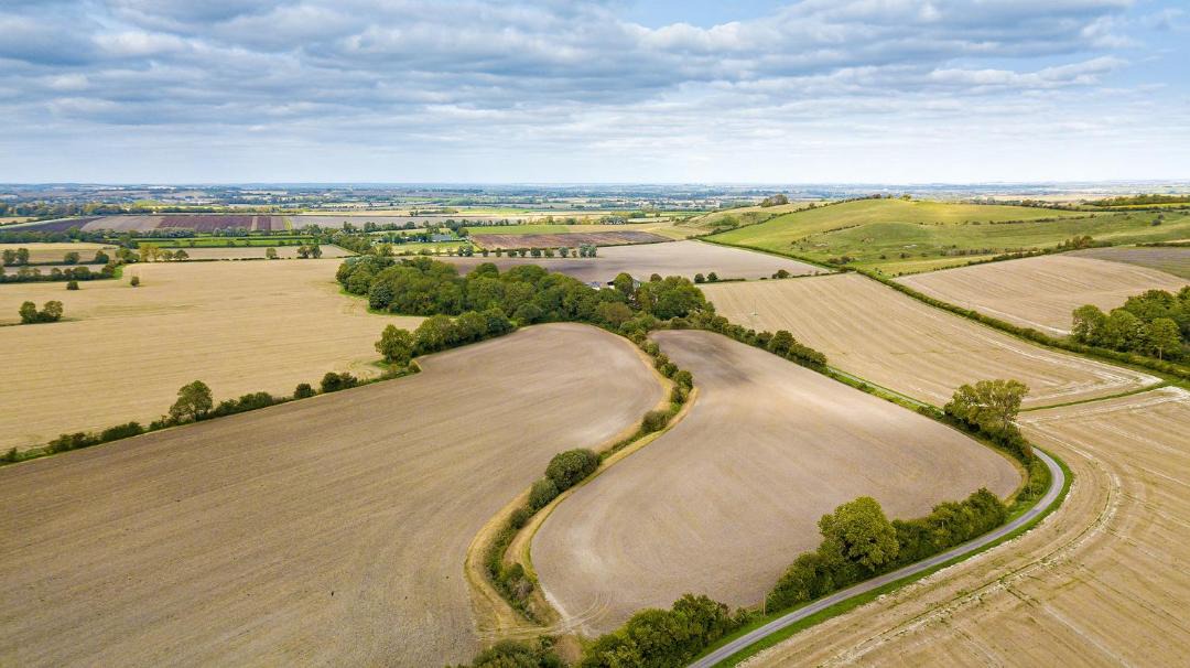 Photo of Others in Pegsdon