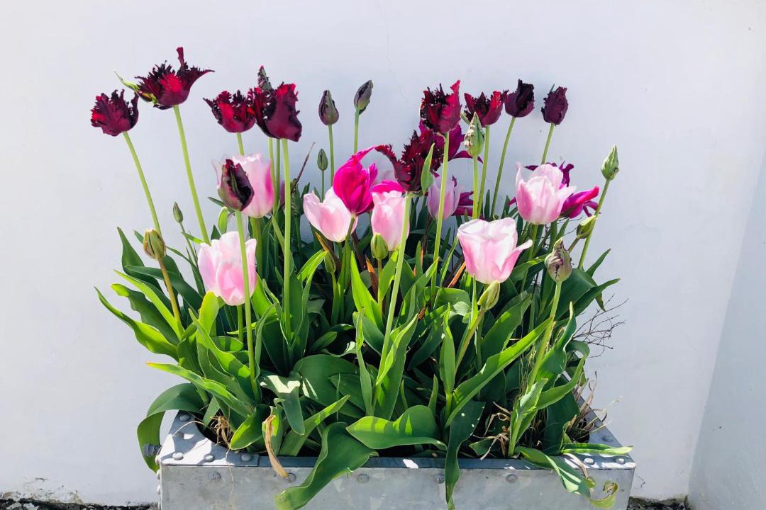 Photo of Others in Carmarthen