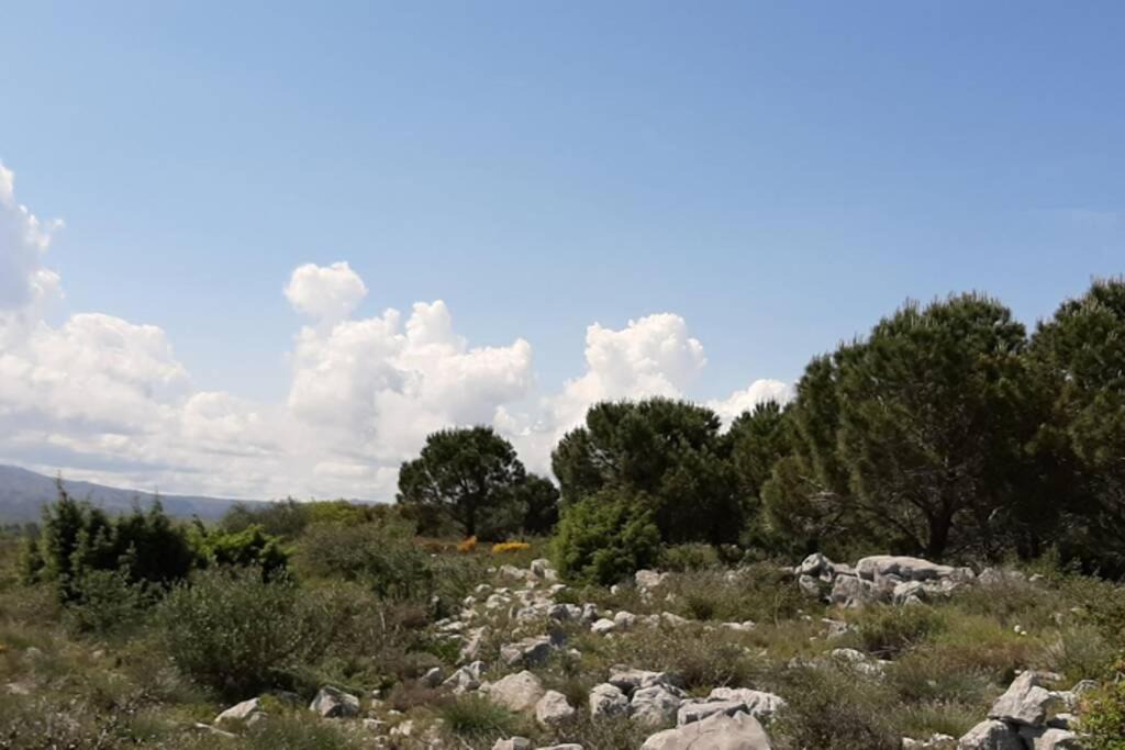 Photo of Others in La Palme