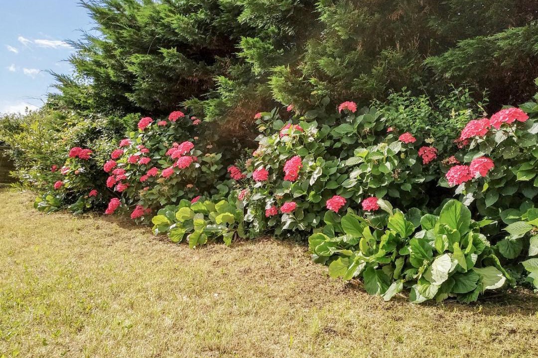 Photo of Others in Bidart