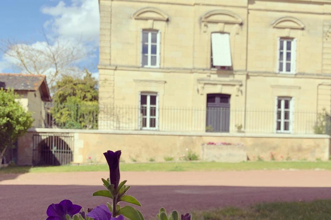 Photo of Others in Vaudelnay