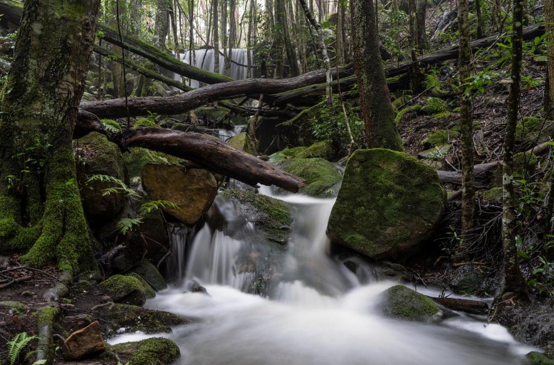 Photo of Others in Bilpin