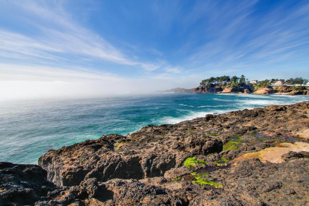 Photo of Others in Depoe Bay