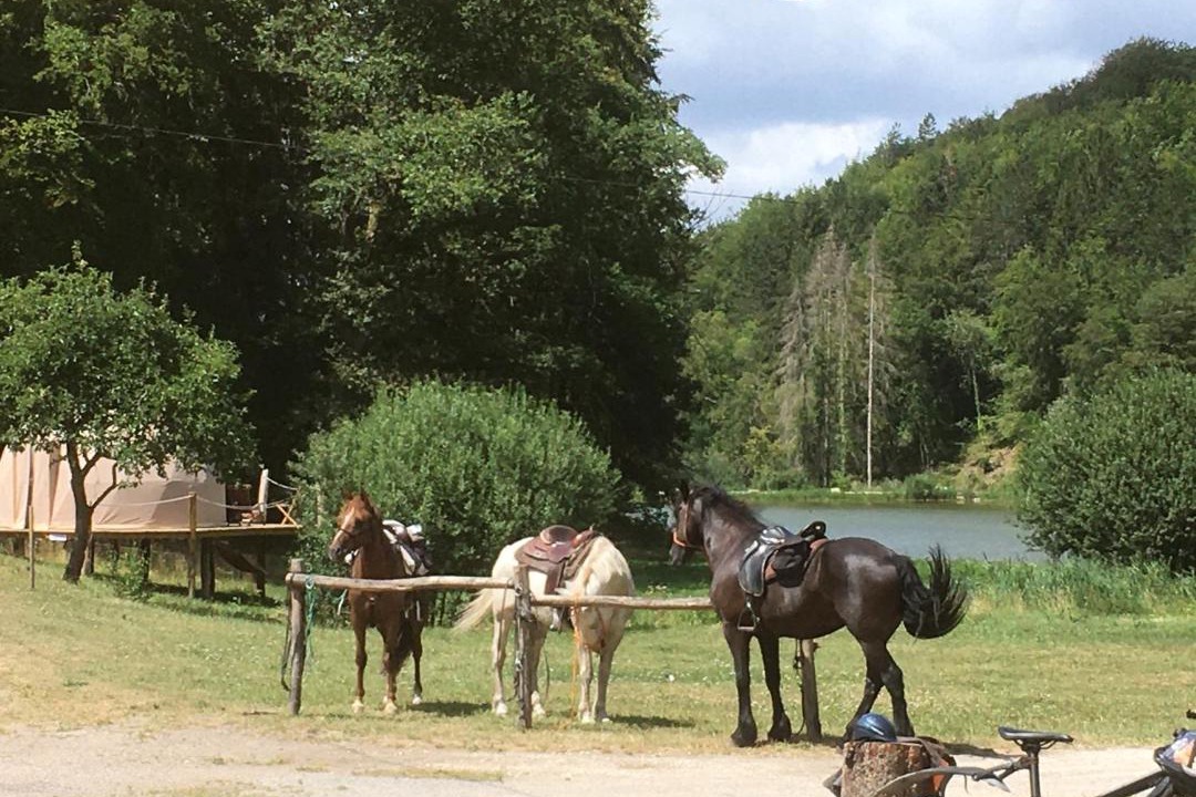 Photo of Others in Hannonville-sous-les-Cotes