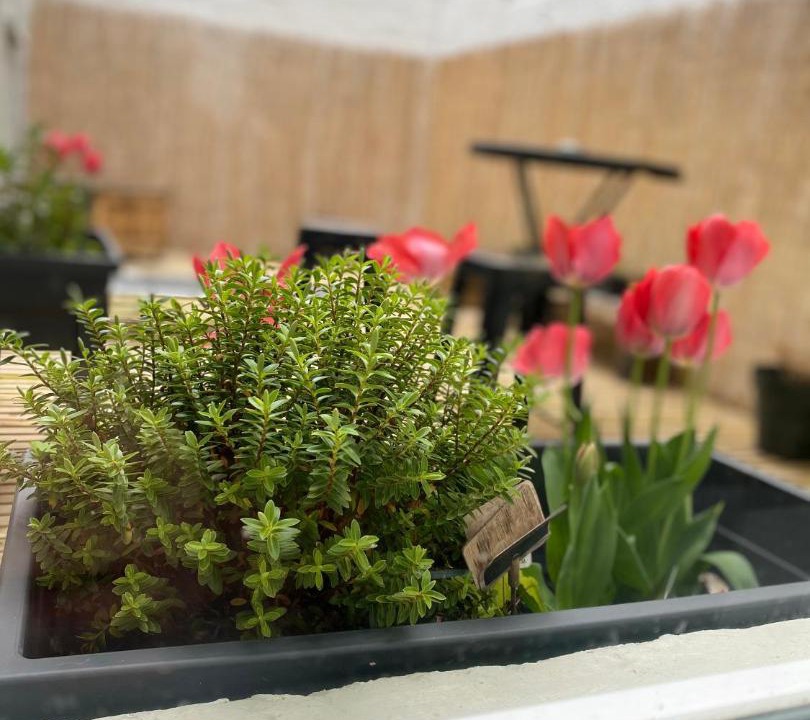 Photo of Others in Gare