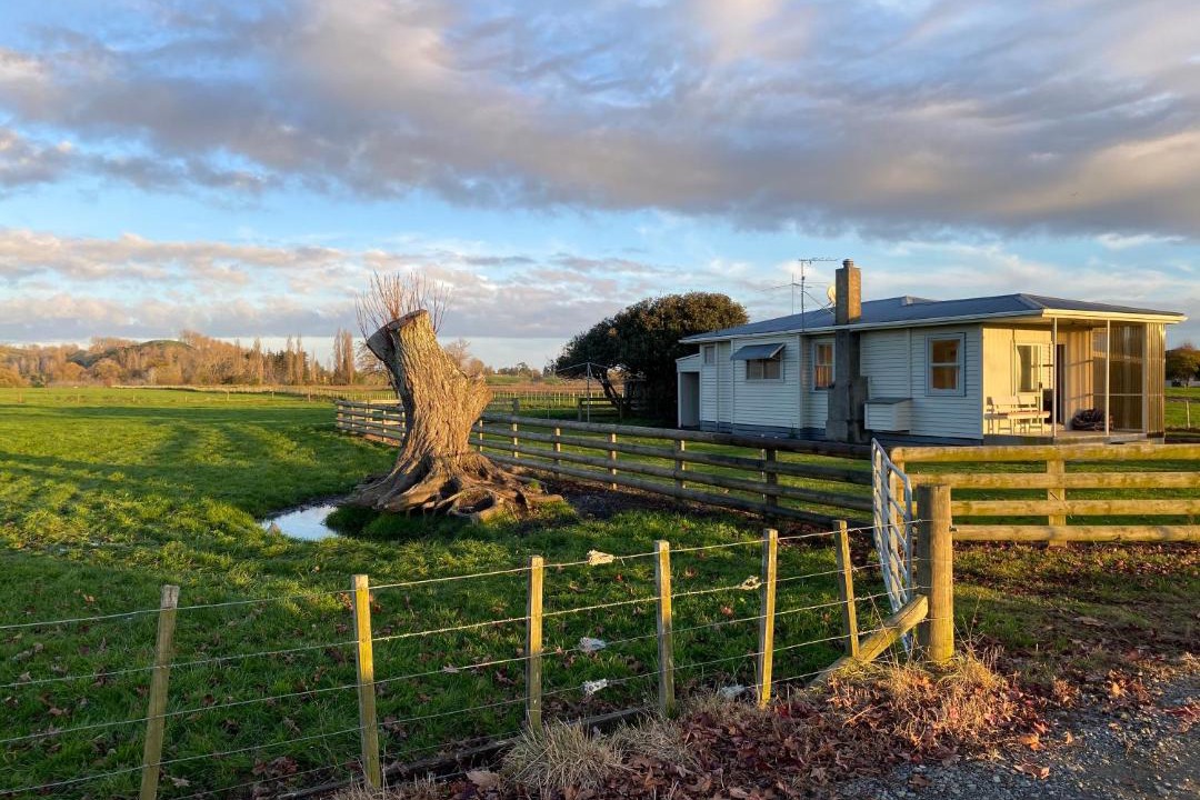 Photo of Others in Frasertown