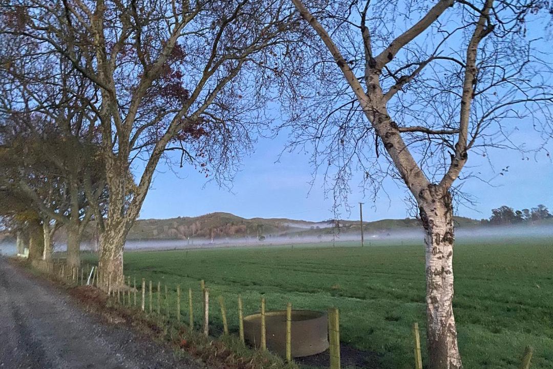 Photo of Others in Frasertown