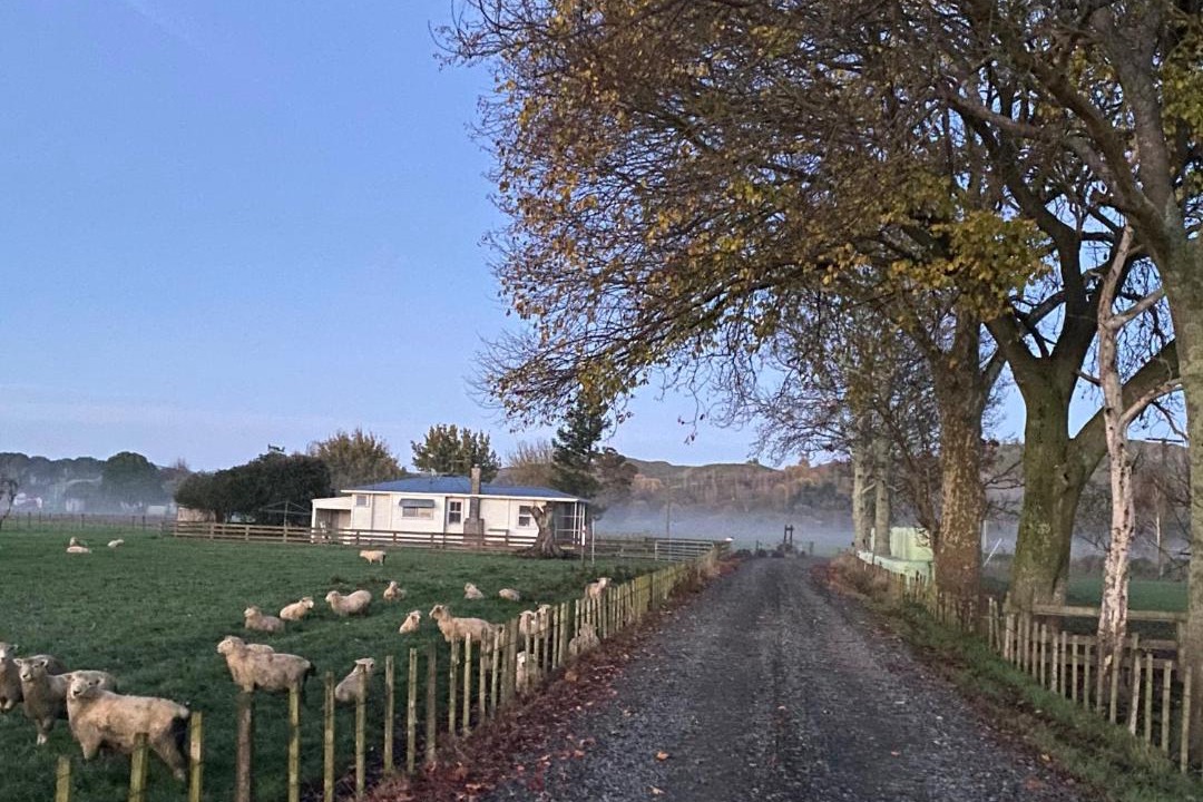 Photo of Others in Frasertown