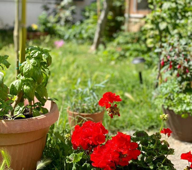 Photo of Patio Balcony in Vrsar