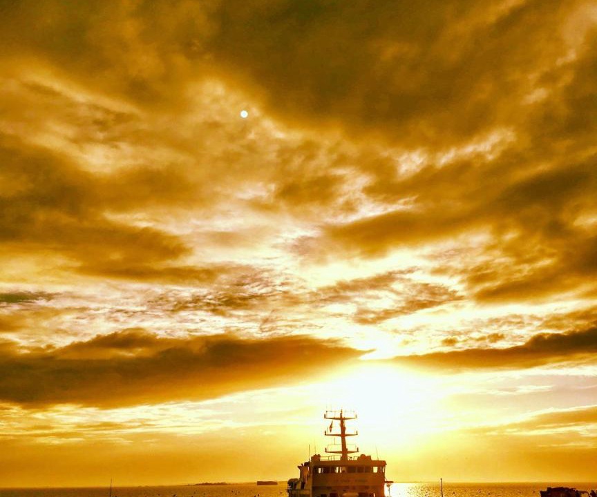 Photo of Human In Picture in Ile-d'Aix