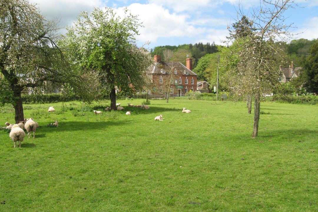 Photo of Others in Bredwardine