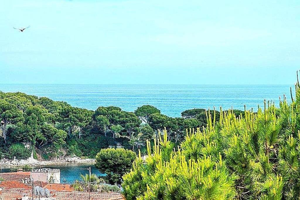 Photo of Outdoor in Cap-Ferrat