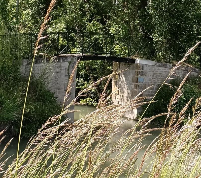 Photo of Others in Bouille-Courdault