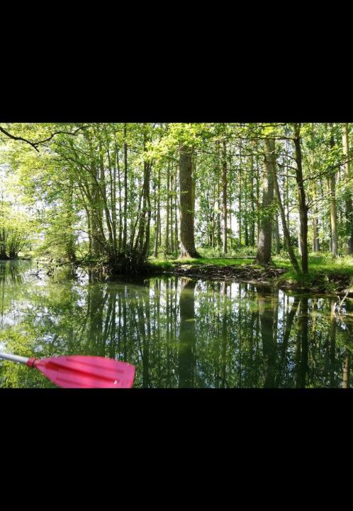 Photo of Others in Bouille-Courdault