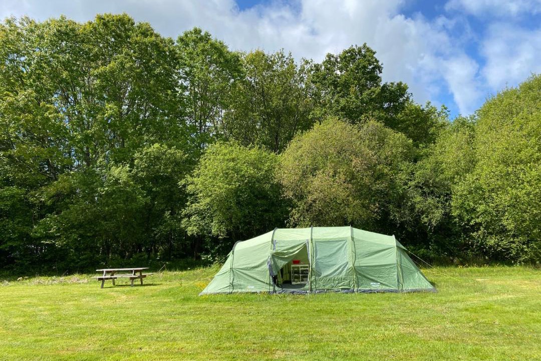 Photo of Outdoor in Blond