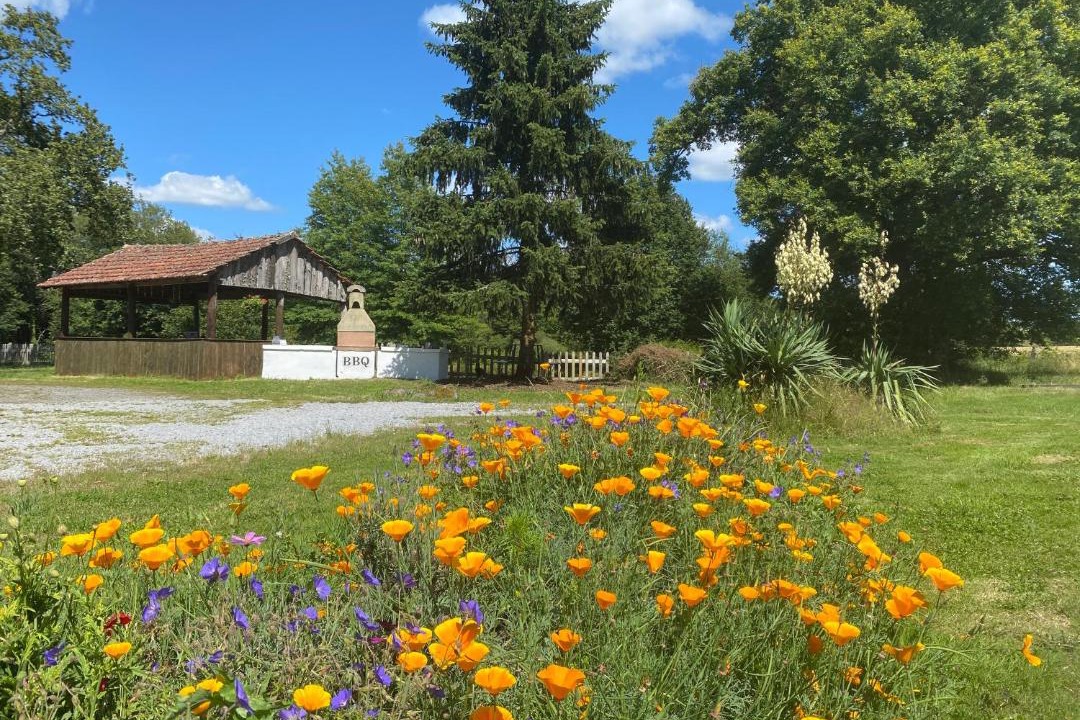 Photo of Others in Blond