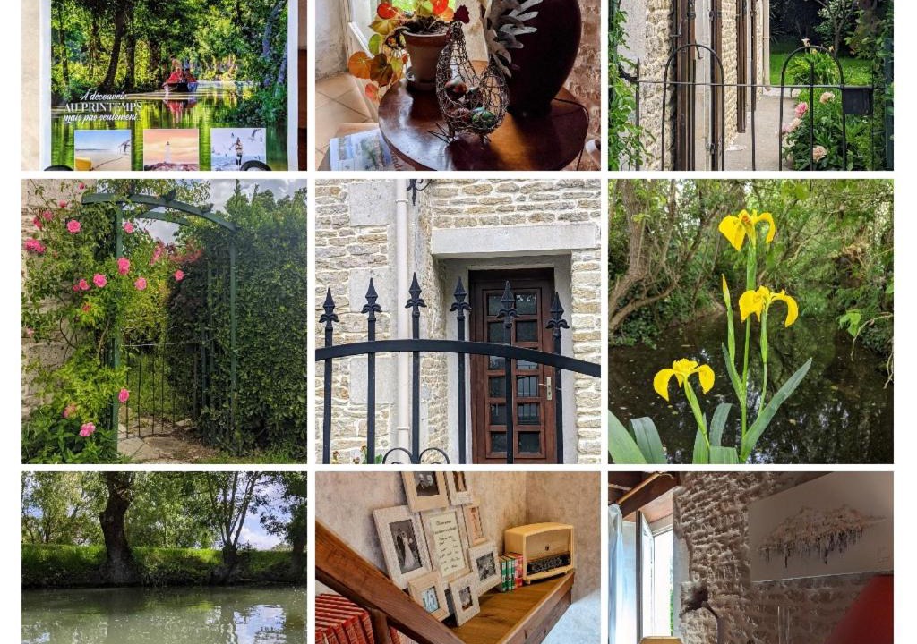 Photo of Others in Maille