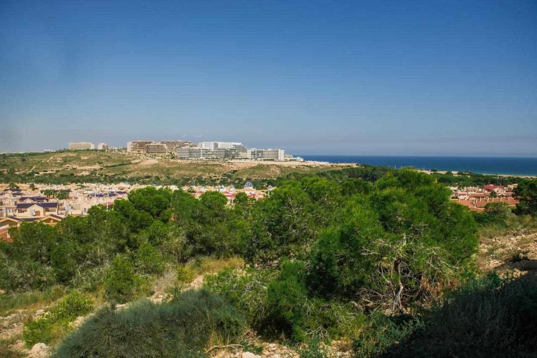 Photo of Others in Gran Alacant