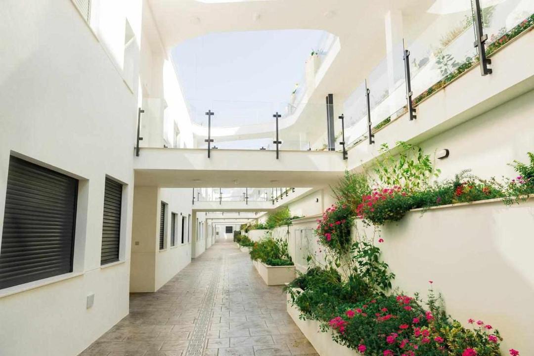 Photo of Others in Gran Alacant