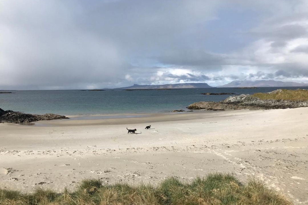 Photo of Others in Mallaig