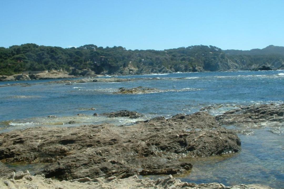 Photo of Outdoor in Le Brusc