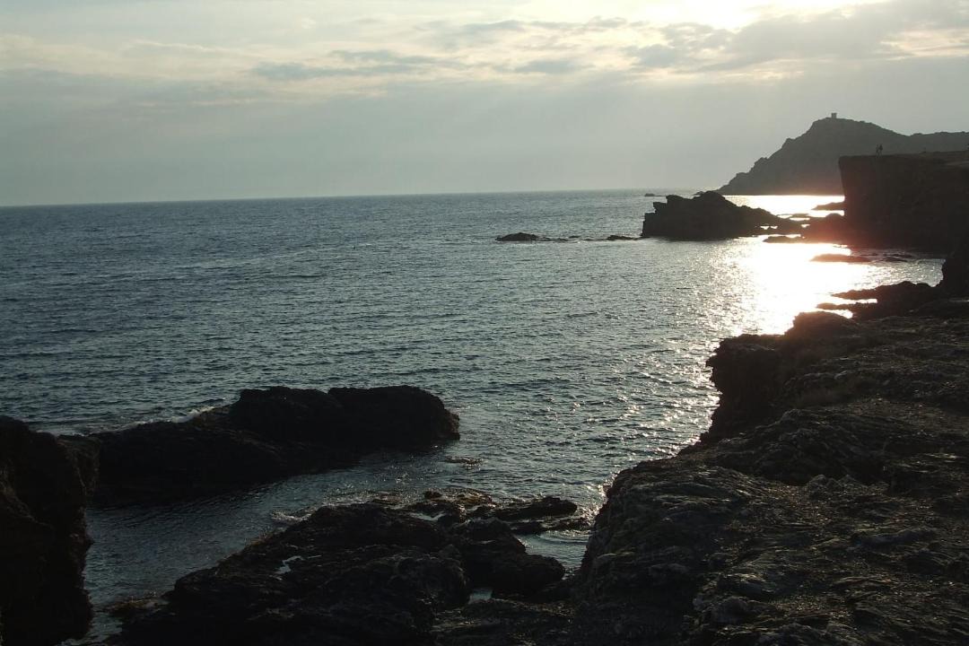 Photo of Others in Le Brusc