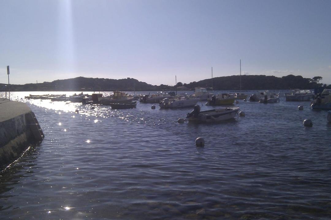 Photo of Others in Le Brusc