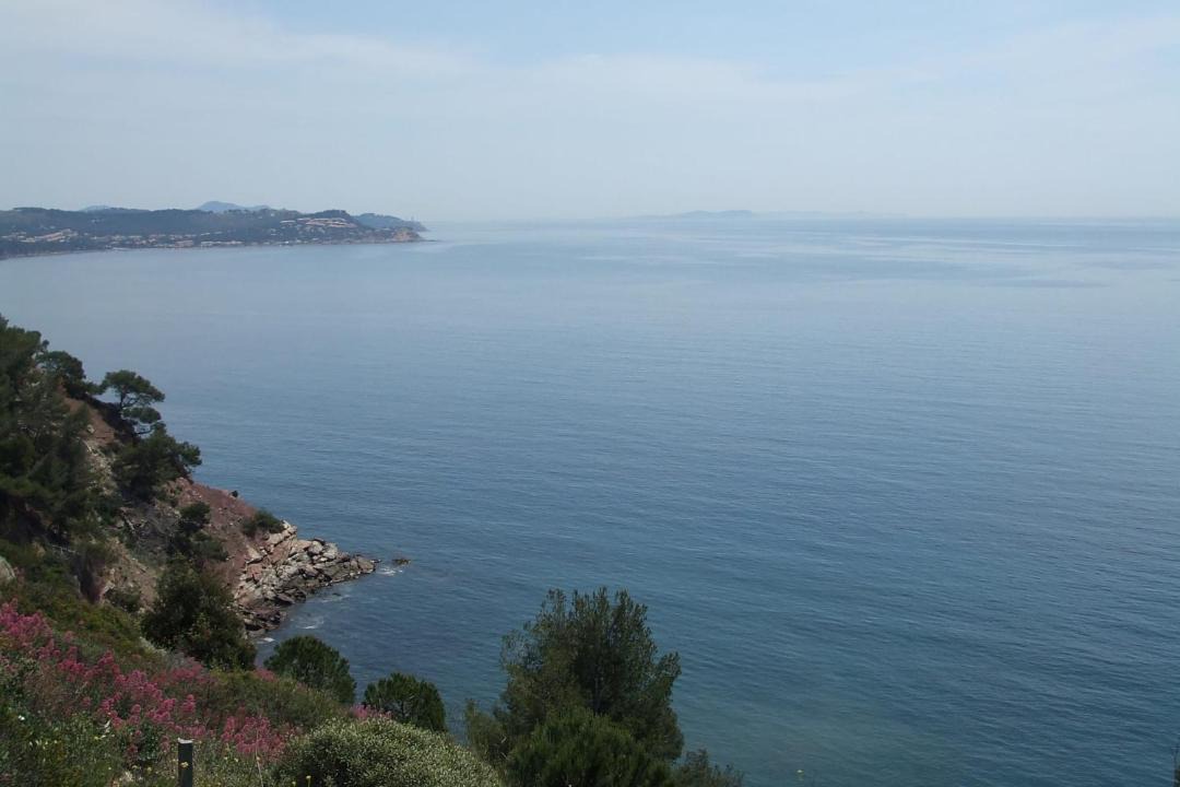 Photo of Outdoor in Le Brusc