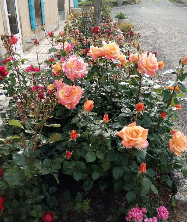 Photo of Others in Villelongue-d'Aude