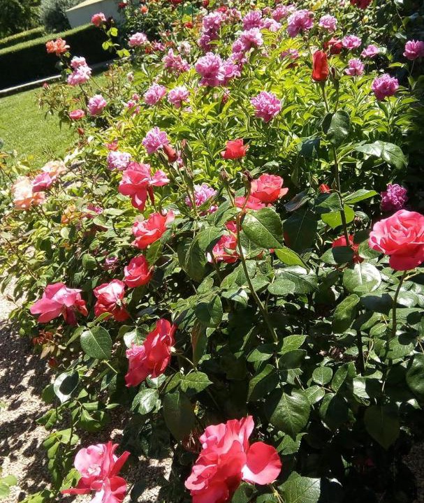 Photo of Others in Villelongue-d'Aude